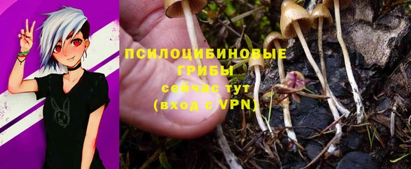 соль курить ск Алексеевка