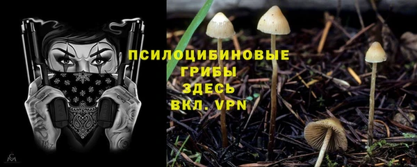 трава Аркадак