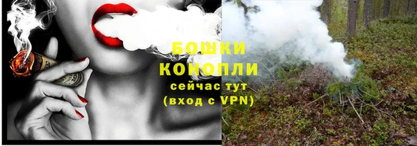 трава Аркадак