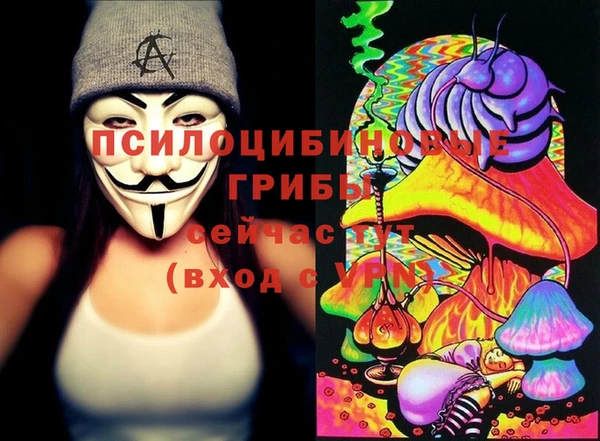 трава Аркадак