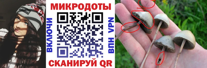 Псилоцибиновые грибы мухоморы  Строитель 